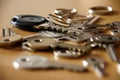 My keys Royalty Free Stock Photo