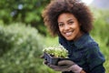 My latest batch of babies. Portrait of a happy young woman holding a tray of seedlings in the garden.