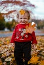 My little daughter plays with autumn leaves in the city park. Cute baby girl playing outdoors. Royalty Free Stock Photo