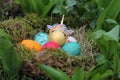 My little eggs unicorns in the garden Royalty Free Stock Photo