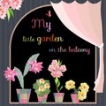 My little garden on the balcony. Beautiful flowers in flowerpots