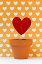 My love for you is growing, yellow Royalty Free Stock Photo