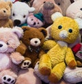 My lovely inherited teddy bears, close up