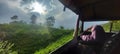 My Lovely with the old landy in middle of  tea plantation Royalty Free Stock Photo