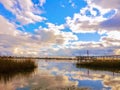 My murrells inlet marsh view Royalty Free Stock Photo