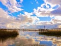 My murrells inlet marsh view