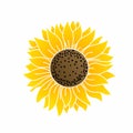 Illustration of Beautiful Sunflower, Flat Design Royalty Free Stock Photo