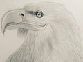 My painting with pencil Royalty Free Stock Photo