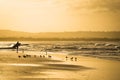 Surfer at Byron Bay Royalty Free Stock Photo