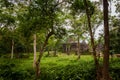 My Son Sanctuary in Hoi An Vietnam Royalty Free Stock Photo