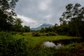 My Son Sanctuary in Hoi An Vietnam Royalty Free Stock Photo