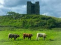 Northen Ireland - Winterfell Royalty Free Stock Photo