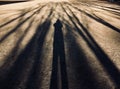 My under the tree shadow. Royalty Free Stock Photo