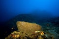 My underwater shooting experiments on the Maldives island