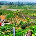 garden atmosphere in the hills outskirts of Bandung, Indonesia on a very beautiful afternoon