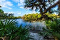 Myakka River Jelks Preserve Venice Florida Royalty Free Stock Photo