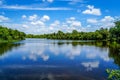 Beautiful Calm Waters of the Myakka River