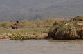 Myanmar Fishman fishing