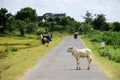 Myanmar landscape with a small road