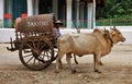 Myanmar local taxi