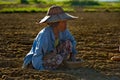 Autumn weekdays on floodplain fields of Myanmar