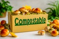 Mycelium based natural box packaging with text Compostable filled mushrooms. Concept of eco-friendly, biodegradable packaging Royalty Free Stock Photo