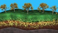 Fungal system growing beneath the earth , soil. Mycelium network .3d rendering