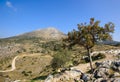 Mycenae view, Greece Royalty Free Stock Photo