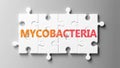 Mycobacteria complex like a puzzle - pictured as word Mycobacteria on a puzzle pieces to show that Mycobacteria can be difficult