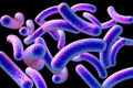 Mycobacteria isolated on black background Royalty Free Stock Photo