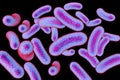 Mycobacteria isolated on black background Royalty Free Stock Photo