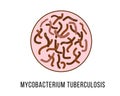 Mycobacterium tuberculosis icon on white background.