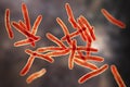 Mycobacterium ulcerans, the causative agent of Buruli ulcer, 3D illustration