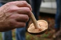 Mycologist demonstrates and talks about various forest mushrooms Royalty Free Stock Photo