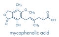 Mycophenolate mycophenolic acid immunosuppressive drug molecule. Used to prevent transplant rejection and in treatment of.