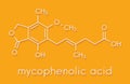 Mycophenolate mycophenolic acid immunosuppressive drug molecule. Used to prevent transplant rejection and in treatment of.