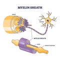 Myelin sheath as insulation layer for brain or spinal nerve outline diagram