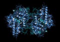 Myeloperoxidase enzyme. 3D Illustration.