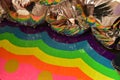 Close up of Mylar Balloons and wavy rainbow paint