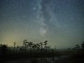 Milky way Night sky stars observing over swamp Royalty Free Stock Photo