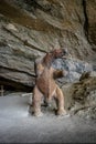 Mylodon pre-historic giant sloth Model at entrance of Milodon Cave - Patagonia, Chile