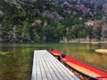 Myojin Pond in the Japanese Alps Royalty Free Stock Photo