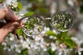 Myopia glasses in hand, flowers bloom in focus Royalty Free Stock Photo