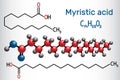 Myristic tetradecanoic acid molecule. It is saturated fatty acid. Structural chemical formula and molecule model. Vector