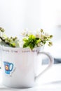 Myrobalan plum flowers in a small mug