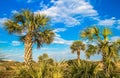 Myrtle Beach Coast