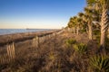 The Myrtle Beach Coast And Skyline