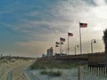 Myrtle Beach Dunes Royalty Free Stock Photo