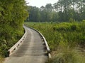 Myrtle Beach Golf course Royalty Free Stock Photo