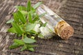 Myrtle branches with flowers and a bottle with myrtle oil essence on a rustic wooden background